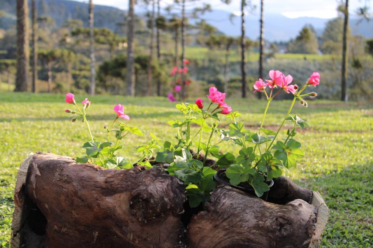 Chale Bienz - Hospedagem Rural Urubici Dış mekan fotoğraf