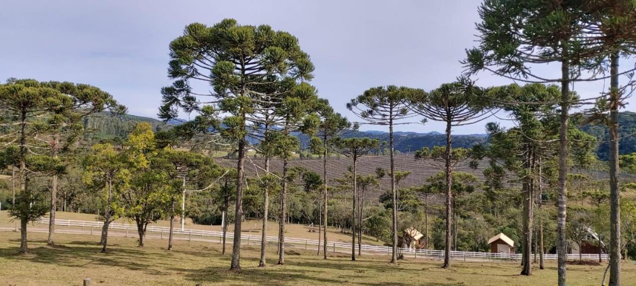 Chale Bienz - Hospedagem Rural Urubici Dış mekan fotoğraf