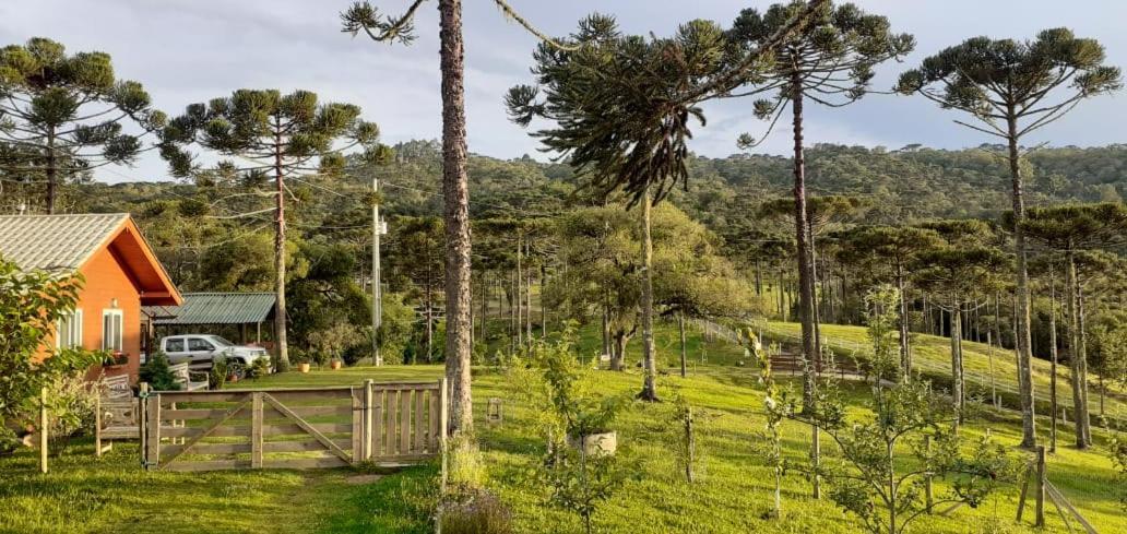 Chale Bienz - Hospedagem Rural Urubici Dış mekan fotoğraf